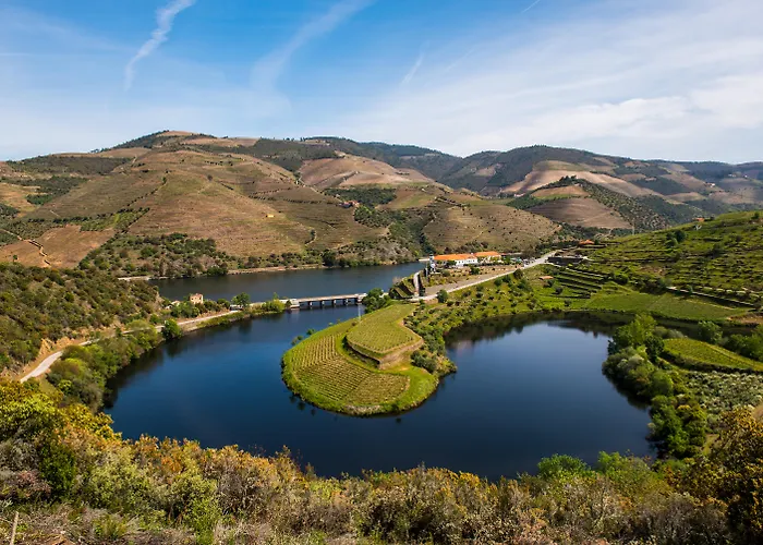 Vila Gale Douro Vineyards