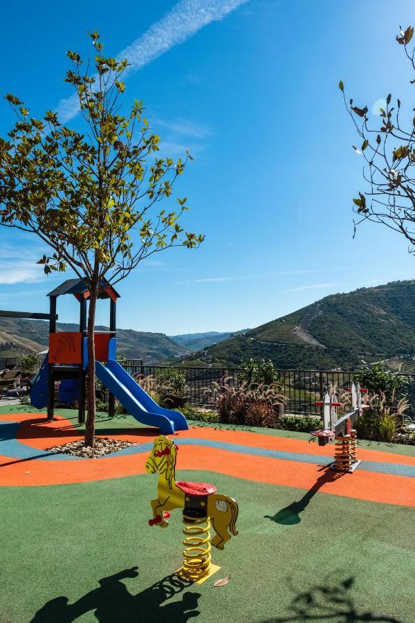 Gale Douro Vineyards Armamar