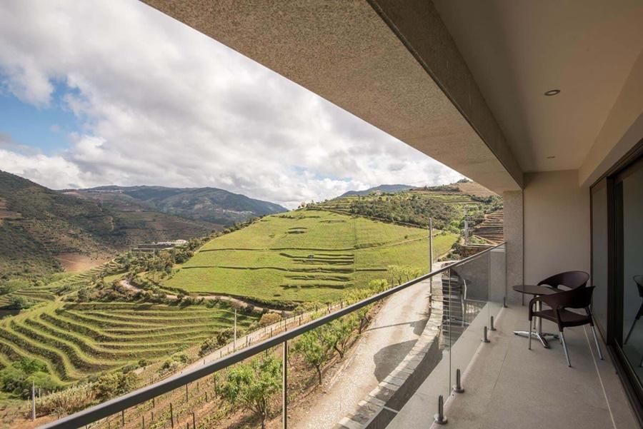 Gale Douro Vineyards Farm stay *