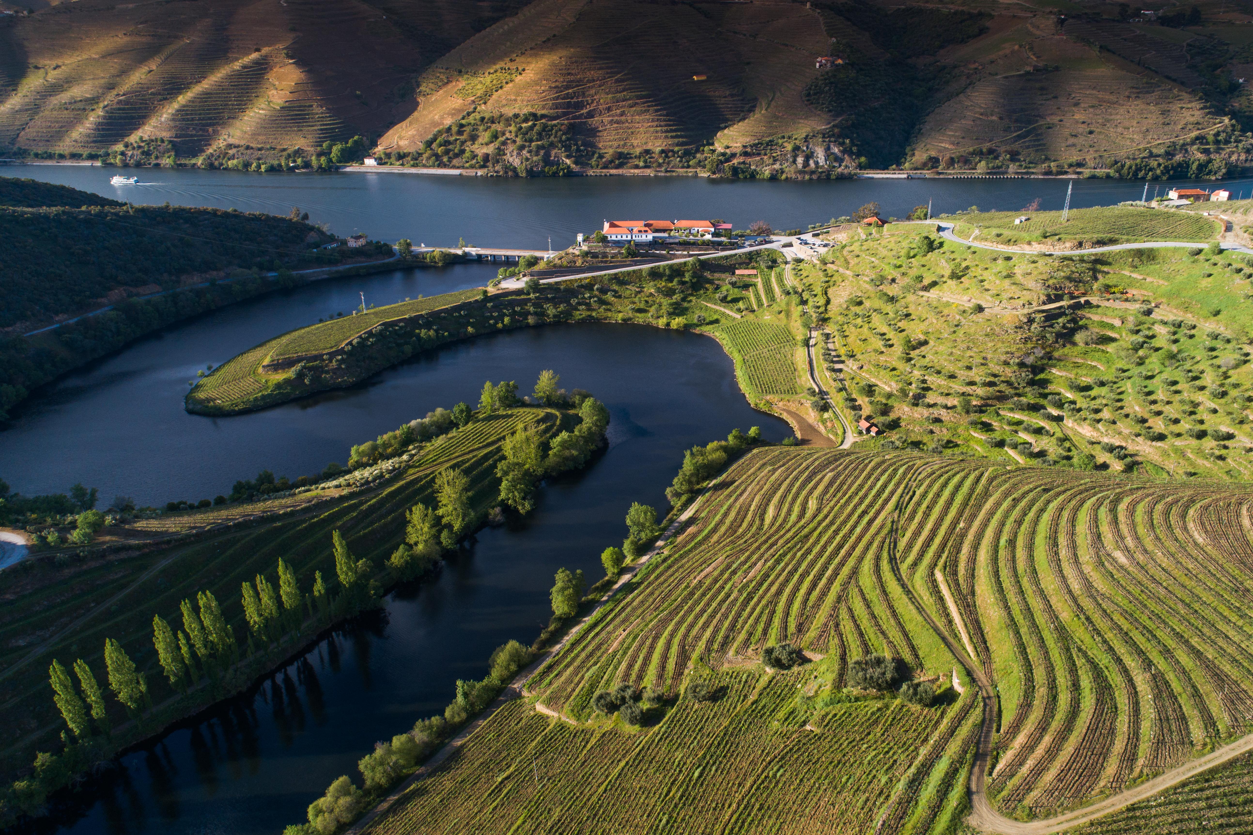 Gale Douro Vineyards