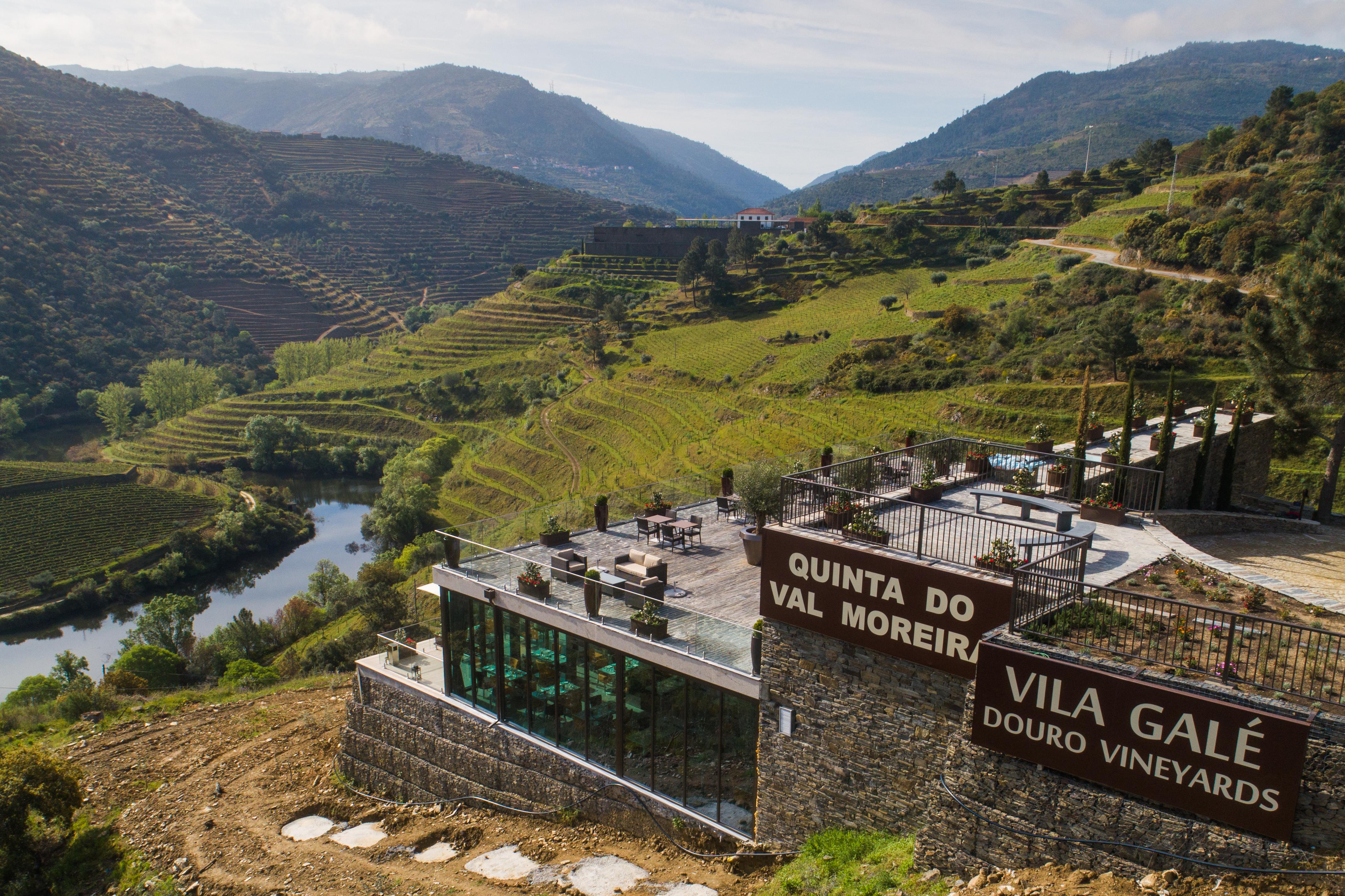 Gale Douro Vineyards Farm stay *
