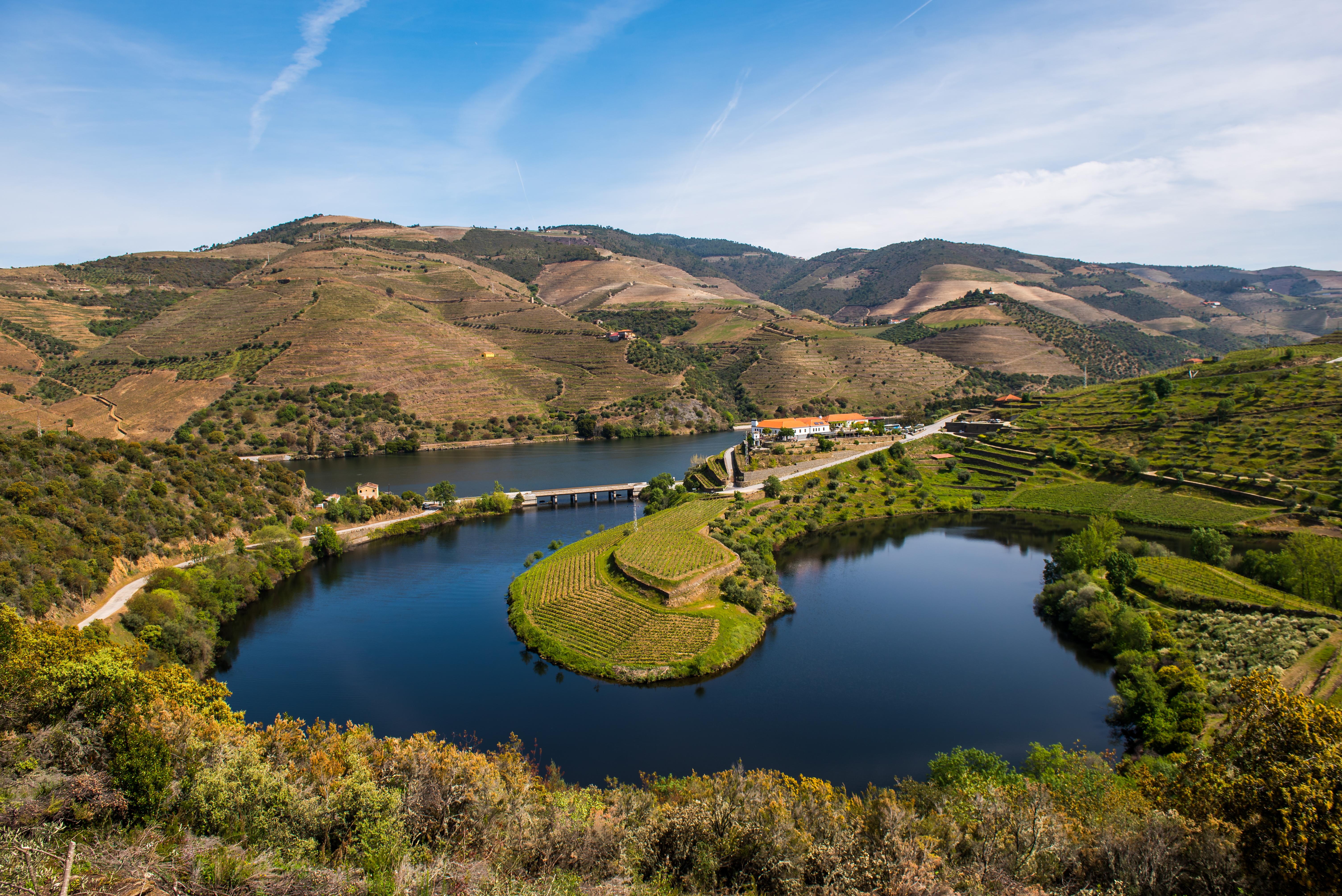 Gale Douro Vineyards