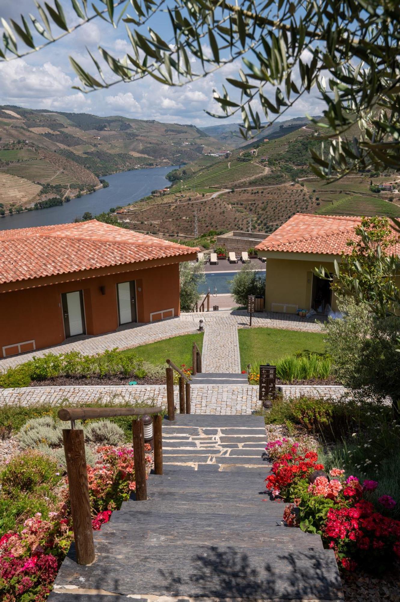 Gale Douro Vineyards