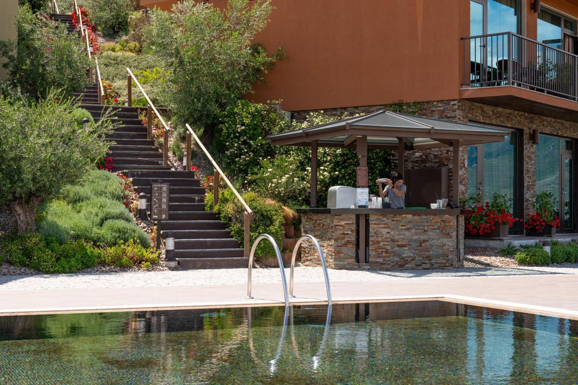Farm stay Gale Douro Vineyards Armamar