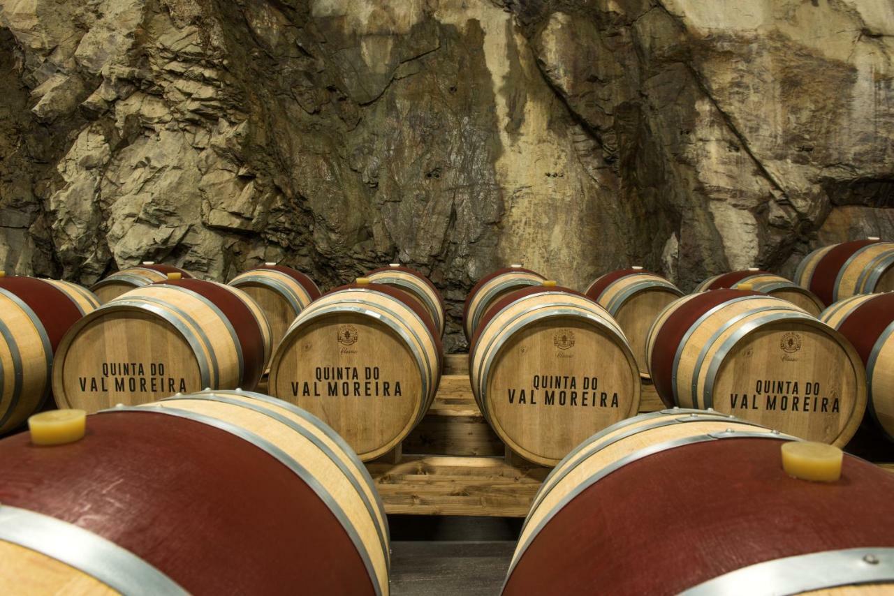 Gale Douro Vineyards