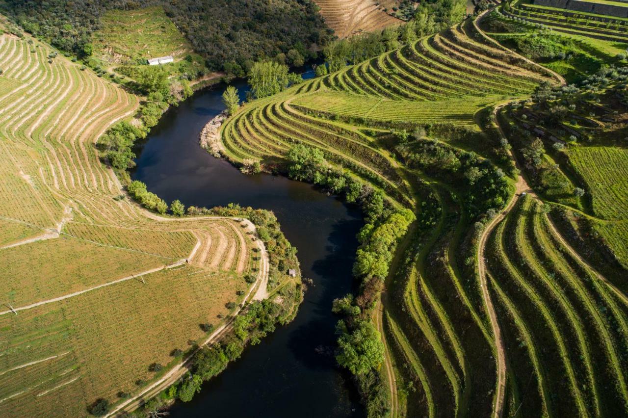 Farm stay Gale Douro Vineyards Armamar