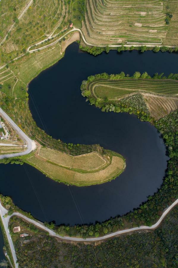 Gale Douro Vineyards Farm stay