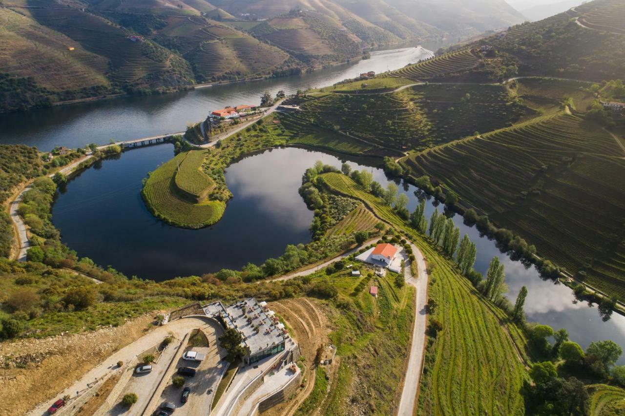 Gale Douro Vineyards * Armamar
