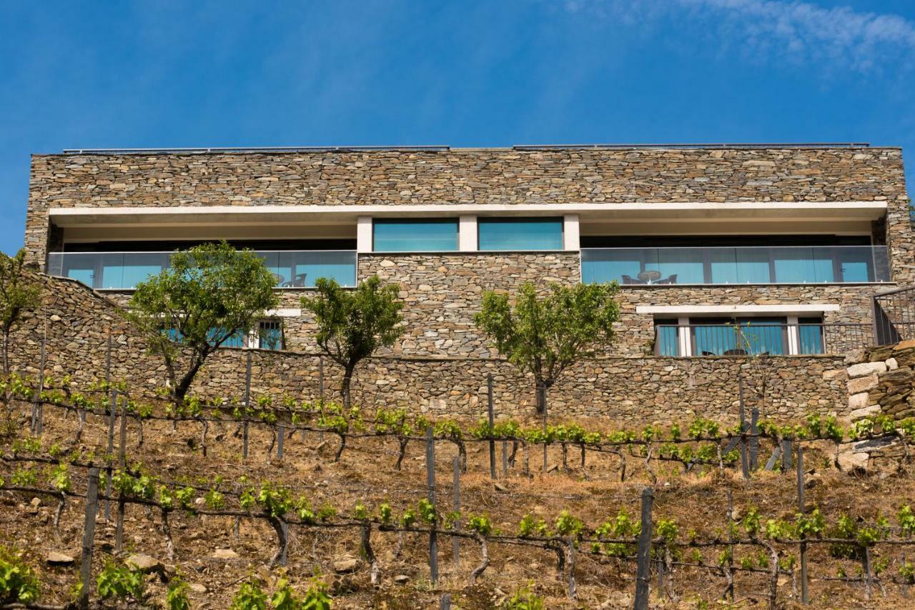 Farm stay Gale Douro Vineyards *