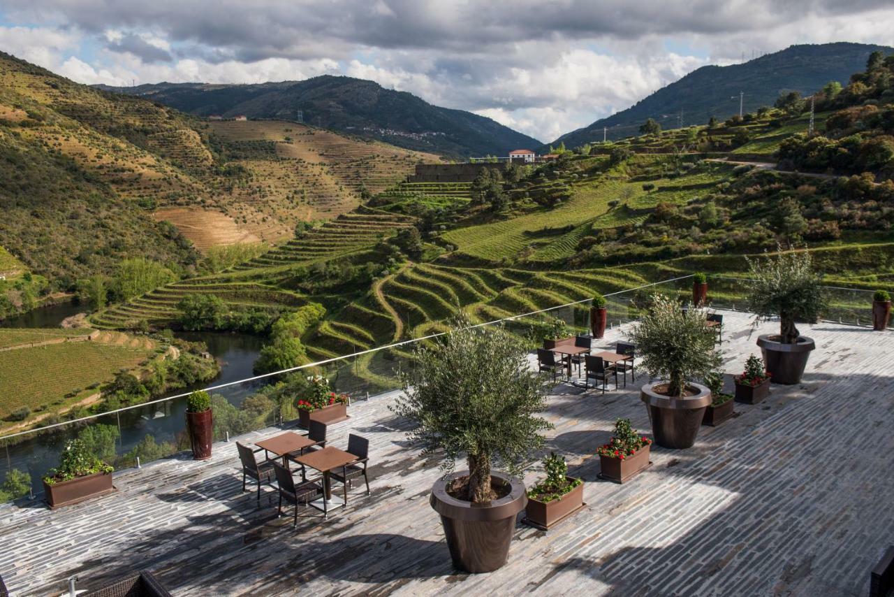 Gale Douro Vineyards